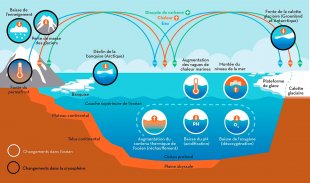 Les composants clés des systèmes océaniques et de la cryosphère, et leur évolution dans le contexte du changement climatique.