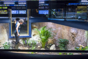 visite jep aquarium