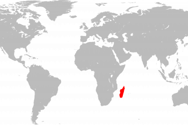 Madagascar