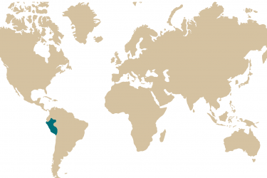 014m_nannostomus_mortenthaleri.png