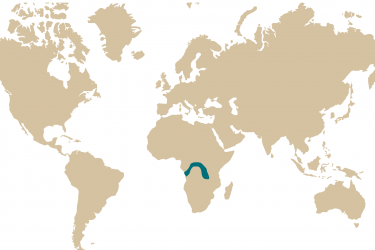 014m_tetraodon_mbu.png