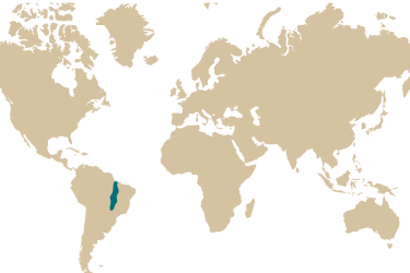 09m_hemigrammus_filamentosus.png