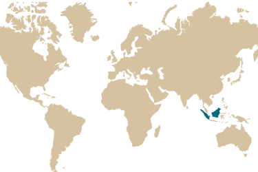 09m_puntigrus_tetrazona.png