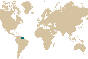 guianacara_geayi.png