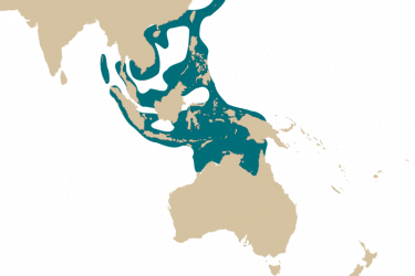 Localisation géographique du poisson-clown - Amphiprion frenatus