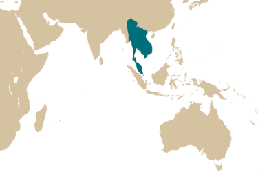 map_channa_micropeltes.png
