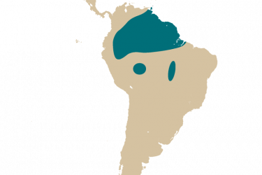 map_chelus_fimbriata.png