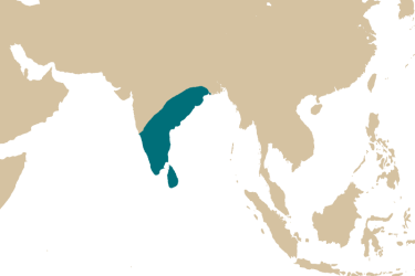 map_etroplus_suratensis.png