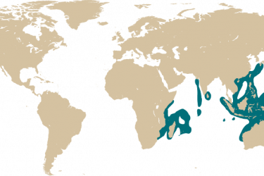 map_galaxea_fascicularis.png