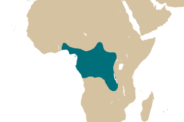 Carte de locallisation de Gnathonemus petersii