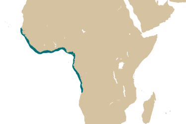 map_periophthalmus_barbarus.png