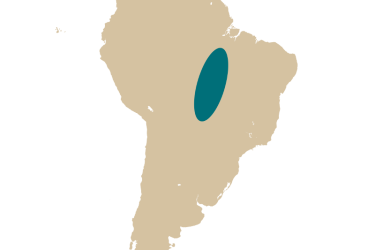 map_potamotrygon_leopoldi.png
