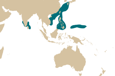 map_rhinopias_frondosa.png