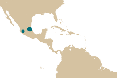map_xiphophorus_montezumae.png