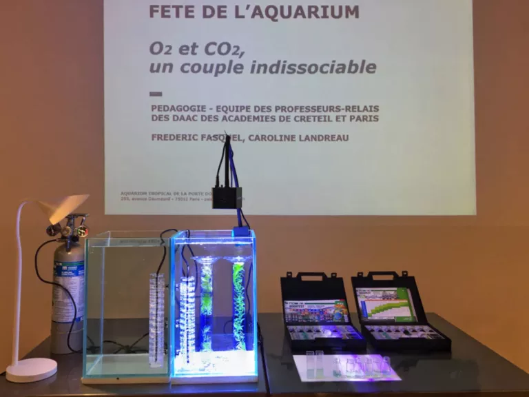 Les rendez-vous pédagogiques