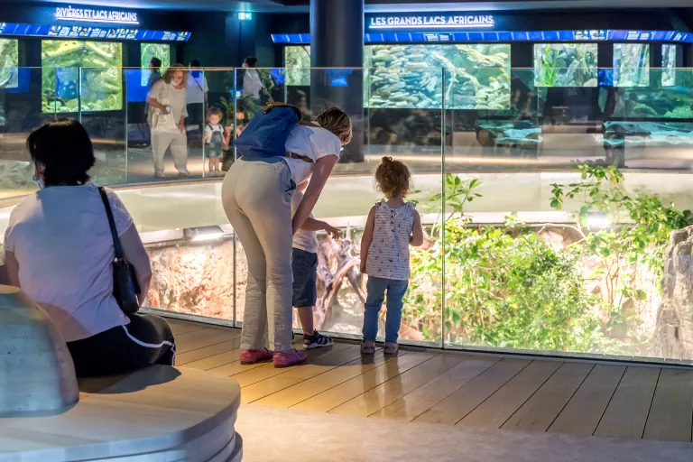 Fosse aquarium © Anne Volery
