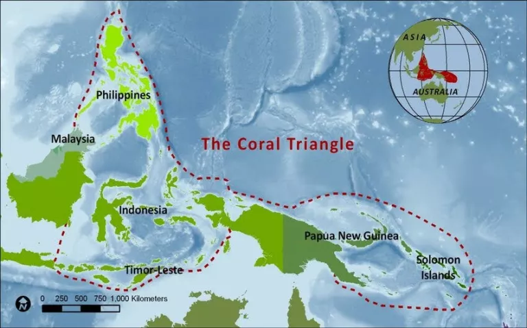 Carte du Triangle de Corail