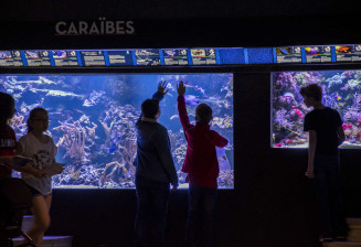 Visite scolaire à l'Aquarium
