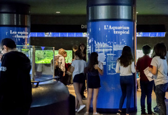 Visite scolaire à l'Aquarium