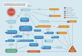 Conséquences des activités humaines sur les interactions océan et climat