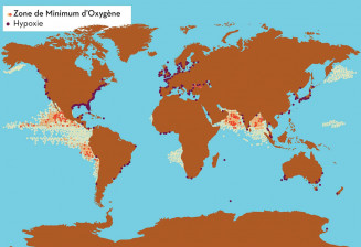 Zones pauvres en oxygène dans l'océan mondial