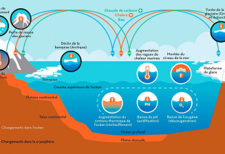 Les composants clés des systèmes océaniques et de la cryosphère, et leur évolution dans le contexte du changement climatique.