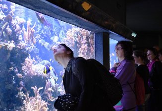 visite_aquarium