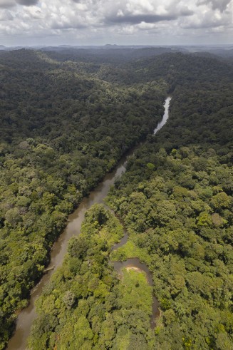 Photographie de Guyane
