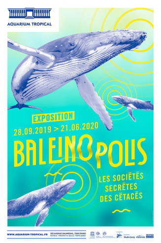 affiche exposition Baleinopolis