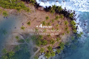 Capture de la vidéo intitulée "Les espèces marines et le changement climatique"