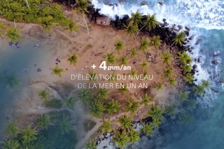 Capture de la vidéo intitulée "Les espèces marines et le changement climatique"