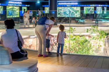 Fosse aquarium © Anne Volery