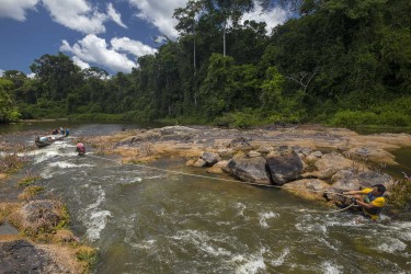 Photographie d'un rapide (ou saut) en Guyane 