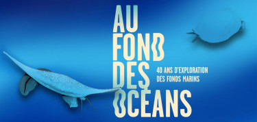 Au fond des oceans