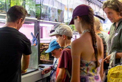 Visiteurs dans les coulisses de l'Aquarium