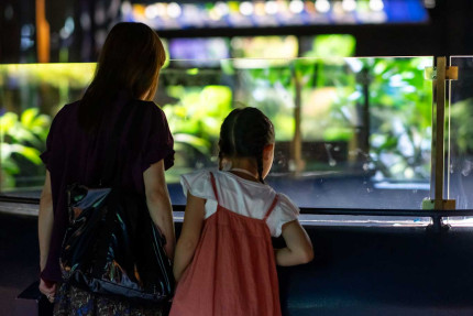 Visiteurs dans l'Aquarium