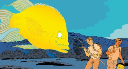 visuel_exposition_joba-mena