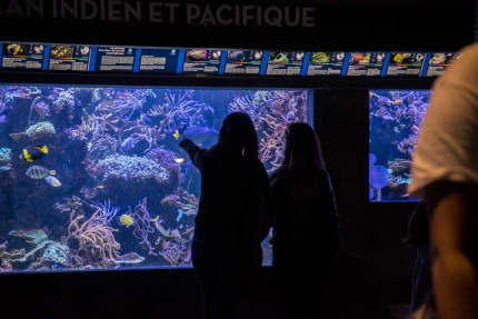 Personnes devant un aquarium