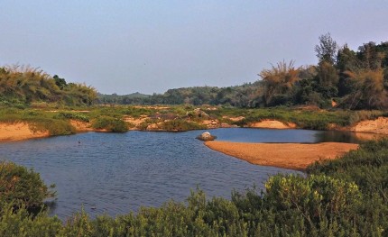 Rivière des Ghâts occidentaux d'Inde