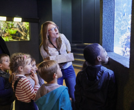 Atelier enfants dans l'Aquarium tropical